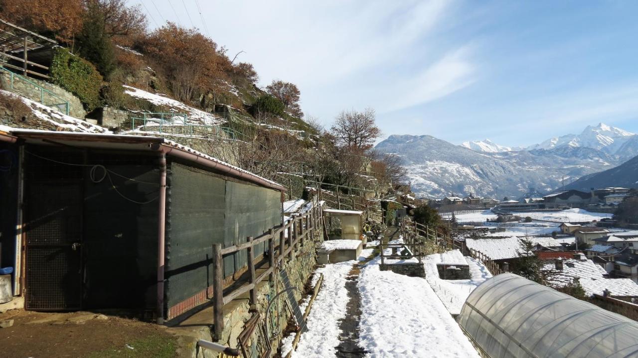 Ferienwohnung Lo Gnomo Sotto Al Glicine Châtillon Exterior foto